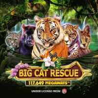 Big_Cat_Rescue